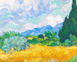 It also organizes special exhibition like Van Gogh and the Seasons which was organized in July 2017.